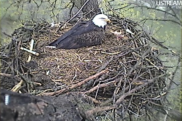 ScreenHunter_02 Mar. 30 10.37.jpg